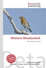 Western Meadowlark