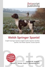 Welsh Springer Spaniel