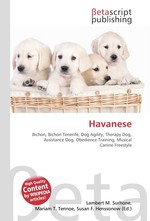 Havanese