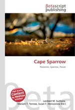 Cape Sparrow