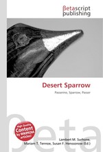 Desert Sparrow