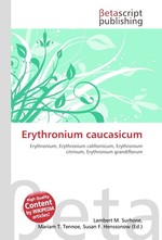 Erythronium caucasicum