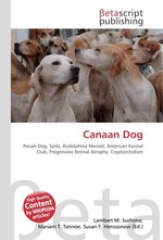 Canaan Dog