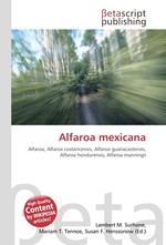 Alfaroa mexicana