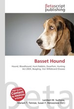 Basset Hound