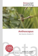 Anthoscopus