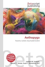 Aethopyga