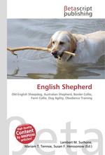 English Shepherd