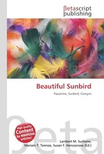 Beautiful Sunbird