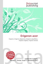 Erigeron acer