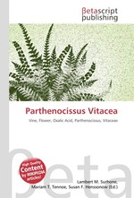 Parthenocissus Vitacea