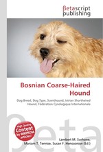 Bosnian Coarse-Haired Hound