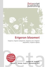 Erigeron bloomeri