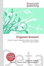 Erigeron breweri