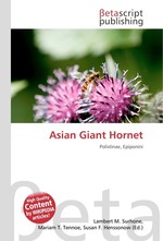 Asian Giant Hornet