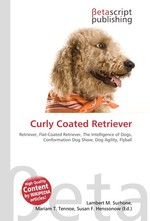 Curly Coated Retriever