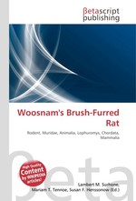 Woosnams Brush-Furred Rat