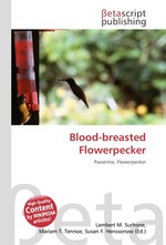 Blood-breasted Flowerpecker