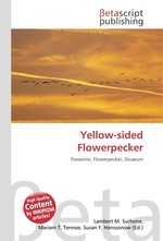 Yellow-sided Flowerpecker