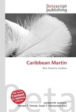 Caribbean Martin