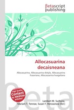 Allocasuarina decaisneana