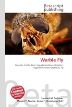 Warble Fly