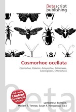 Cosmorhoe ocellata