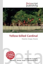 Yellow-billed Cardinal