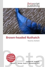 Brown-headed Nuthatch