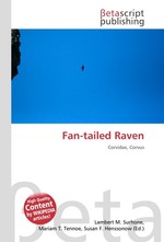 Fan-tailed Raven