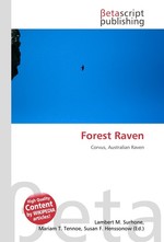 Forest Raven