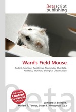 Wards Field Mouse