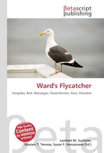 Wards Flycatcher