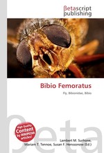 Bibio Femoratus