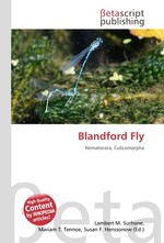 Blandford Fly