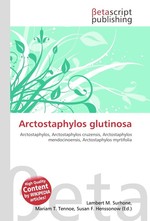 Arctostaphylos glutinosa