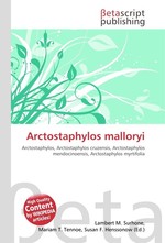 Arctostaphylos malloryi