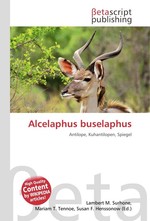 Alcelaphus buselaphus