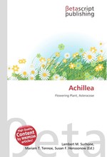 Achillea