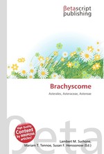 Brachyscome