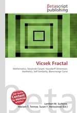 Vicsek Fractal