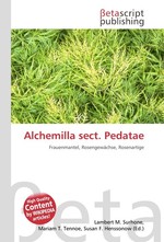 Alchemilla sect. Pedatae