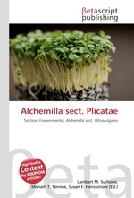 Alchemilla sect. Plicatae