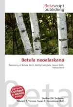 Betula neoalaskana