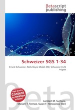 Schweizer SGS 1-34