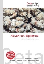 Alcyonium digitatum