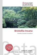 Brickellia Incana