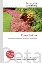 Conoclinium