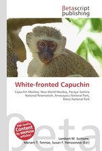 White-fronted Capuchin