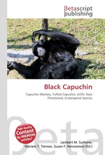 Black Capuchin